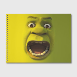 Альбом для рисования Shrek is yelling