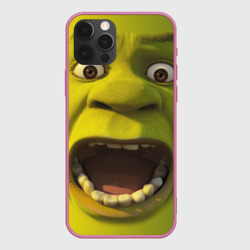 Чехол для iPhone 12 Pro Shrek