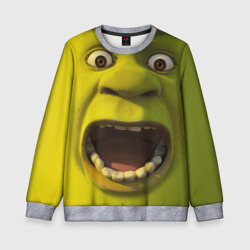 Детский свитшот 3D Shrek is yelling