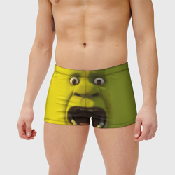 Мужские купальные плавки 3D Shrek is yelling - фото 2