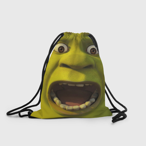 Рюкзак-мешок 3D Shrek is yelling
