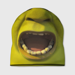 Шапка 3D Shrek is yelling