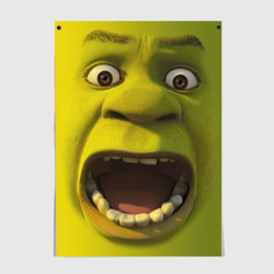 Постер Shrek is yelling