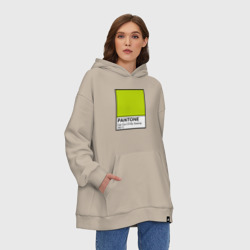 Худи SuperOversize хлопок Pantone Shrek Get Out Of My Swamp - фото 2