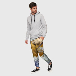 Мужские брюки 3D Абстрактные перышки - фото 2