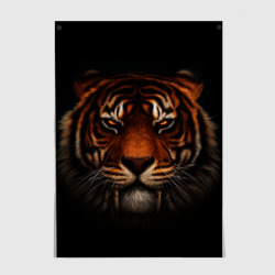 Постер TIGER