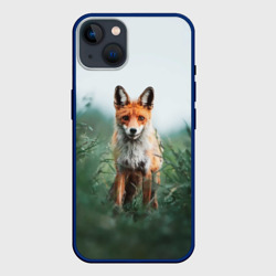 Лисица в зелени – Чехол для iPhone 14 Plus с принтом купить