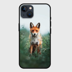 Лисица в зелени – Чехол для iPhone 14 с принтом купить