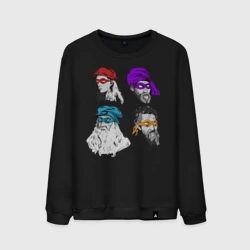 Мужской свитшот хлопок Художники Лео Раф Мики Донни