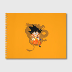 Альбом для рисования Kid Goku