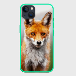 Рыжая лисица фото – Чехол для iPhone 14 Plus с принтом купить