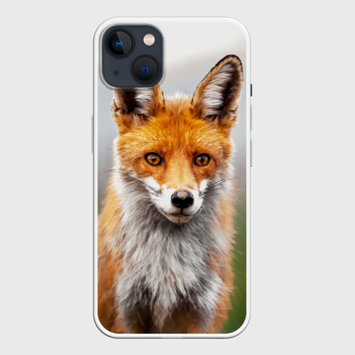 Чехол для iPhone 14 Plus с принтом Рыжая лисица фото, вид спереди №1