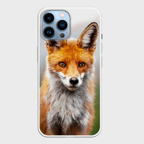 Чехол для iPhone 14 Pro Max с принтом Рыжая лисица фото, вид спереди №1