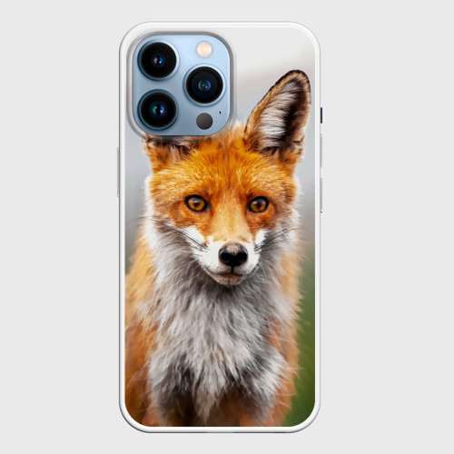Чехол для iPhone 14 Pro с принтом Рыжая лисица фото, вид спереди №1