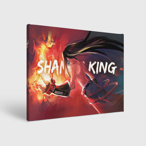 Холст прямоугольный Hao Shaman King, цвет 3D печать