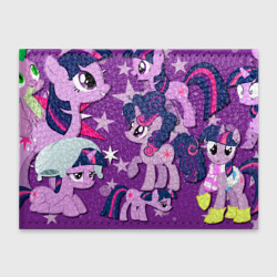 Обложка для студенческого билета Twilight Sparkle