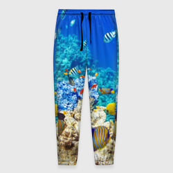 Мужские брюки 3D Морской мир