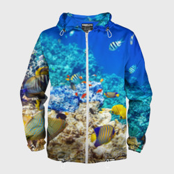 Мужская ветровка 3D Морской мир