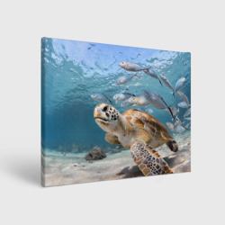 Морская черепаха и рыбки – Холст прямоугольный с принтом купить