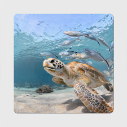Морская черепаха и рыбки – Магнит виниловый Квадрат с принтом купить