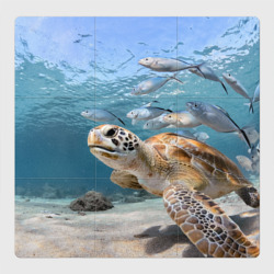 Морская черепаха и рыбки – Магнитный плакат 3Х3 с принтом купить