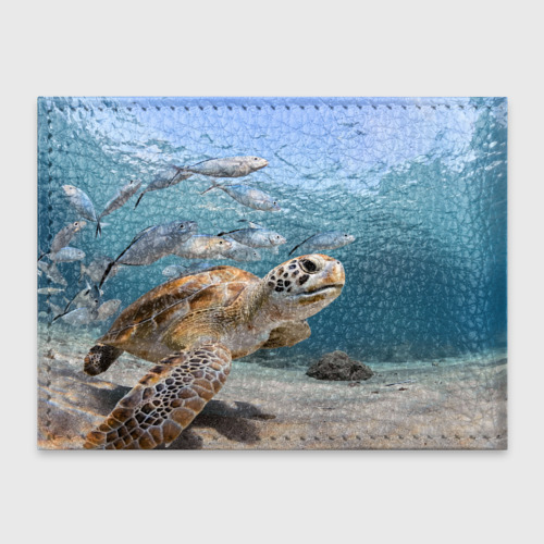 Обложка для студенческого билета Морская черепаха - фото 2