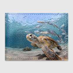 Обложка для студенческого билета Морская черепаха