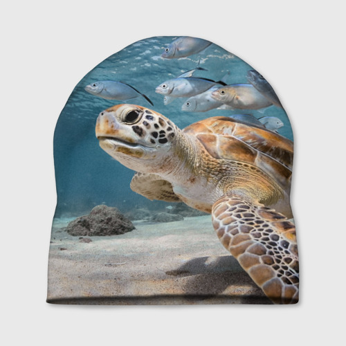 Шапка 3D Морская черепаха