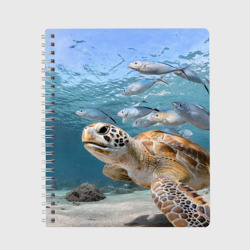 Морская черепаха и рыбки – Тетрадь с принтом купить