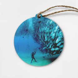 Деревянная игрушка круг Фото дайвинг