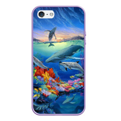 Чехол для iPhone 5/5S матовый Киты и дельфины