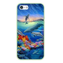 Чехол для iPhone 5/5S матовый Киты и дельфины
