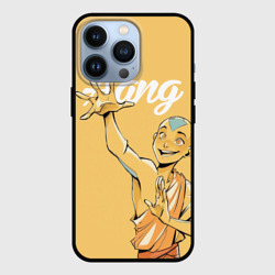 Чехол для iPhone 13 Pro Aang Last airbender