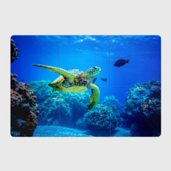 Магнитный плакат 3Х2 Морская черепаха
