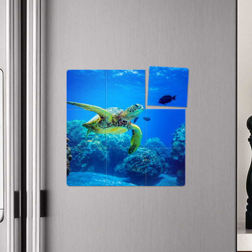 Магнитный плакат 3Х3 Морская черепаха - фото 4