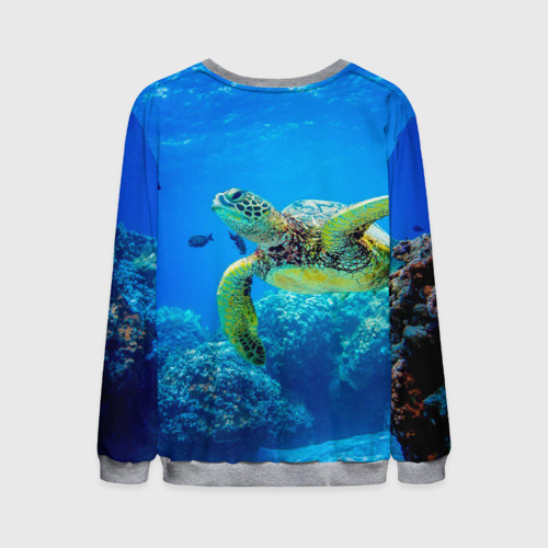 Мужской свитшот 3D с принтом Морская черепаха, вид сзади #1