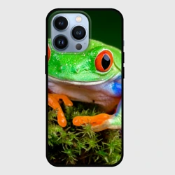 Чехол для iPhone 13 Pro Тропическая лягушка