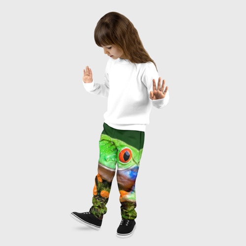 Детские брюки 3D с принтом Тропическая лягушка, фото на моделе #1