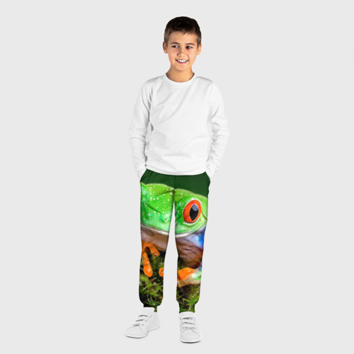 Детские брюки 3D с принтом Тропическая лягушка, вид сбоку #3