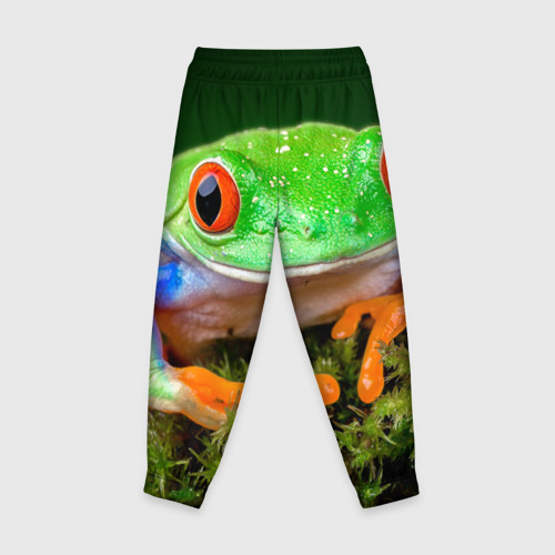 Детские брюки 3D с принтом Тропическая лягушка, вид сзади #1