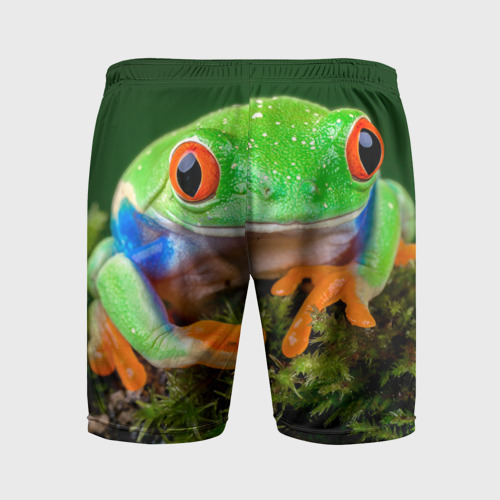 Мужские шорты спортивные Тропическая лягушка, цвет 3D печать - фото 2