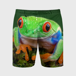 Мужские шорты спортивные Тропическая лягушка
