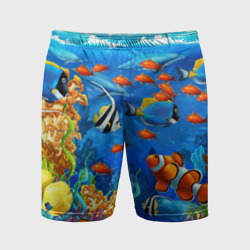 Коралловые морские рыбки  – Мужские шорты спортивные с принтом купить