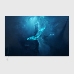 Флаг 3D Звездный кит star whale