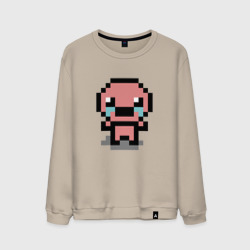 Мужской свитшот хлопок Pixel Isaac