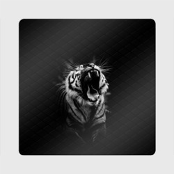 Магнит виниловый Квадрат Тигр рычит Tiger realistic