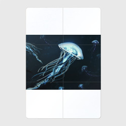 Магнитный плакат 2Х3 Рисунок медуза