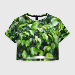 Женская футболка Crop-top 3D Зелёные листья на ветках