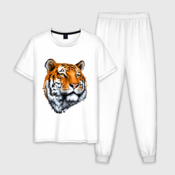 Мужская пижама хлопок Тигр