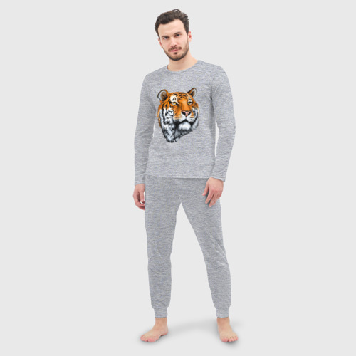 Мужская пижама с лонгсливом хлопок Тигр, цвет меланж - фото 3